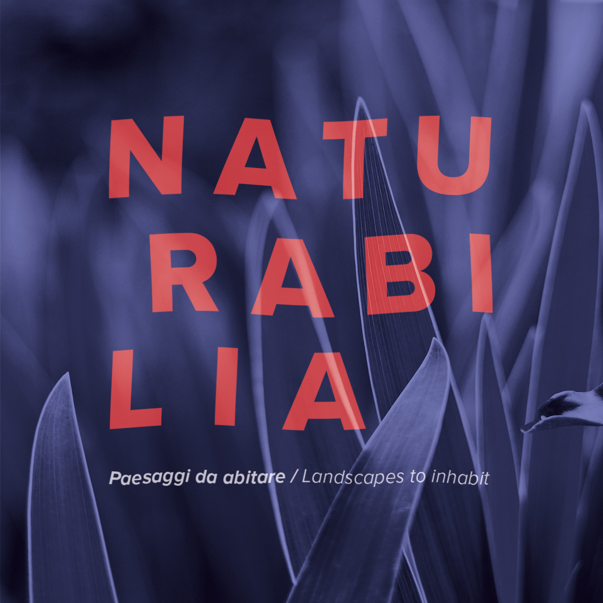 MDW 2026 Naturabilia